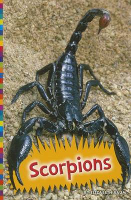 Book cover for Scorpions