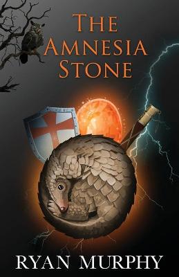 Book cover for The Amnesia Stone