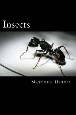 Book cover for Insects