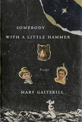 Book cover for Somebody with a Little Hammer