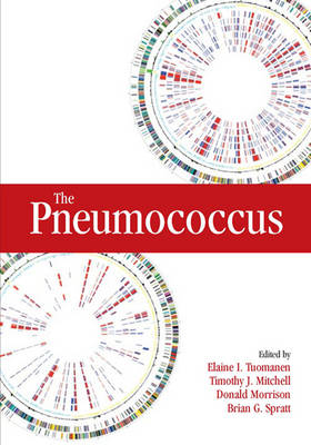 Book cover for The Pneumococcus