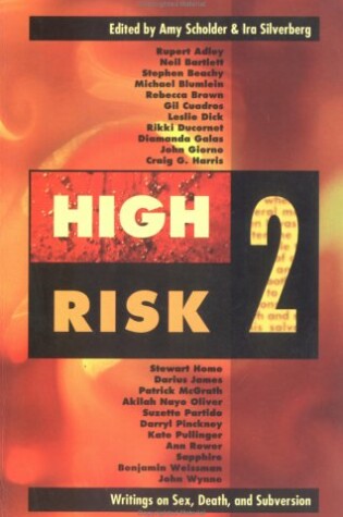 Cover of High Risk 2