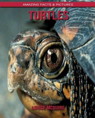 Book cover for Turtles