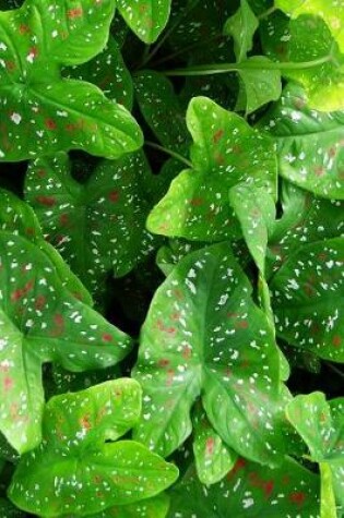 Cover of Beautiful Caladium Plant Leaves Journal