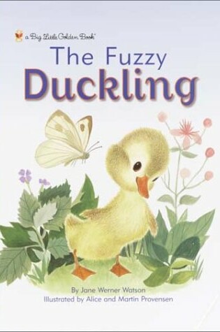 Cover of Big Lgb:the Fuzzy Duckling