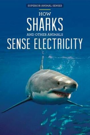 Cover of How Sharks and Other Animals Sense Electricity