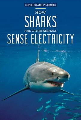 Book cover for How Sharks and Other Animals Sense Electricity