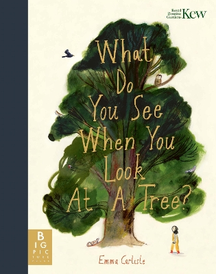 Cover of What Do You See When You Look At a Tree?