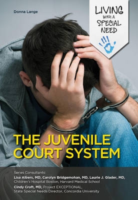 Book cover for The Juvenile Court System