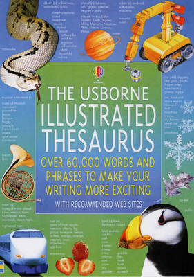 Book cover for The Usborne Illustrated Thesaurus