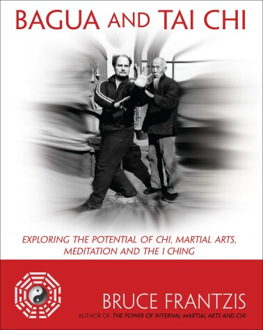 Book cover for Bagua and Tai Chi