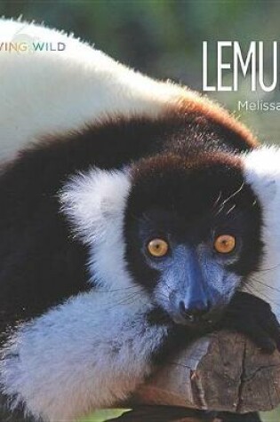 Cover of Lemurs