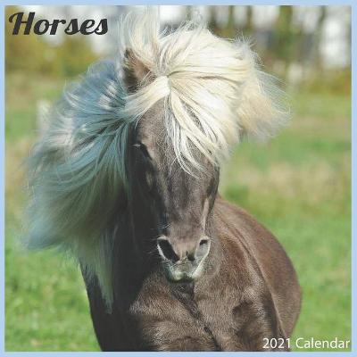 Book cover for Horses 2021 Calendar