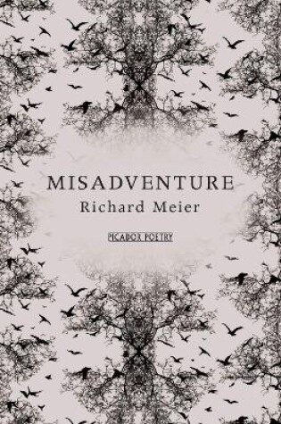Cover of Misadventure