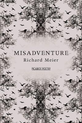 Book cover for Misadventure