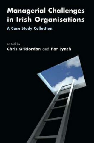 Cover of Managerial Challenges in Irish Organisations