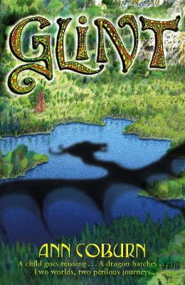 Book cover for Glint