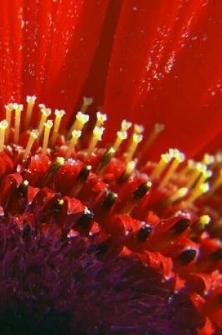 Cover of Blazing Red Flower Up Close Journal