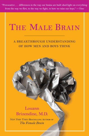 Book cover for The Male Brain