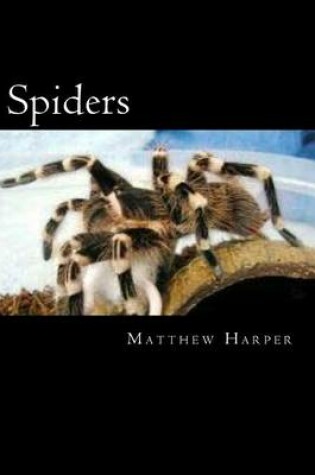 Cover of Spiders