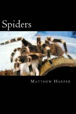 Book cover for Spiders