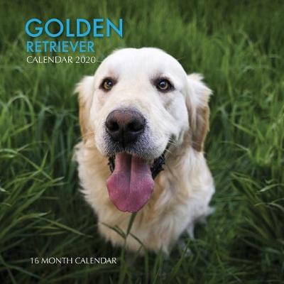 Book cover for Golden Retriever Calendar 2020