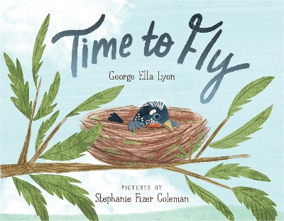 Book cover for Time to Fly