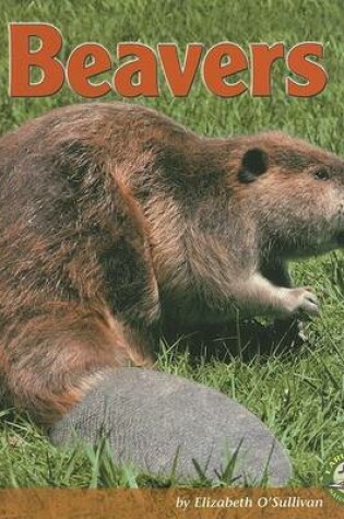 Cover of Beavers