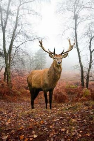 Cover of A Magnificent Red Deer Stag in an Autumn Forest Journal