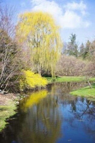 Cover of Springtime on the River Landscape Journal