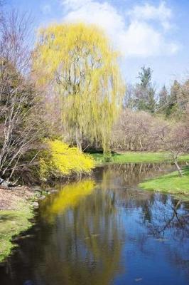 Book cover for Springtime on the River Landscape Journal