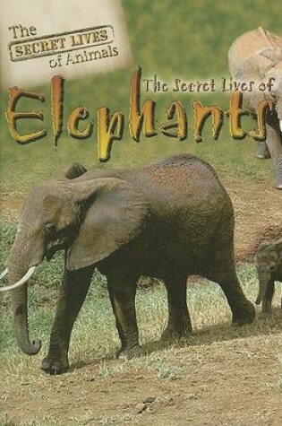 Cover of The Secret Lives of Elephants