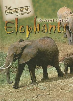 Book cover for The Secret Lives of Elephants