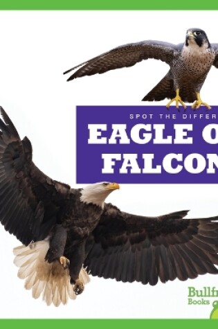 Cover of Eagle or Falcon?