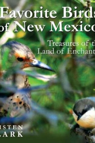 Cover of Favorite Birds of New Mexico