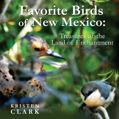 Book cover for Favorite Birds of New Mexico