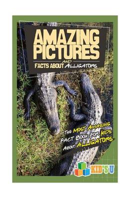 Book cover for Amazing Pictures and Facts about Alligators