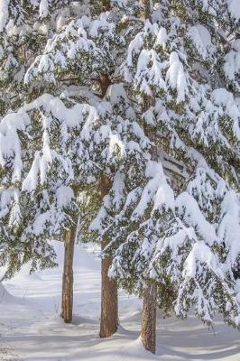 Book cover for Winter Snow Covered Evergreen Trees Journal