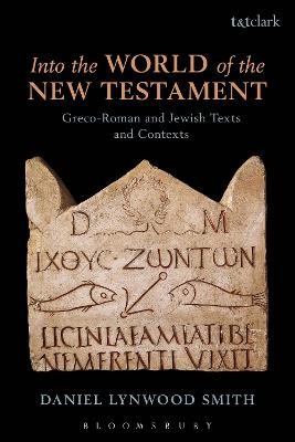 Book cover for Into the World of the New Testament