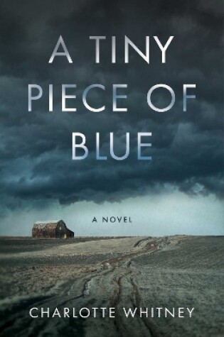 Cover of A Tiny Piece of Blue