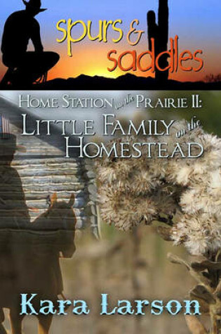 Cover of Little Family on the Homestead