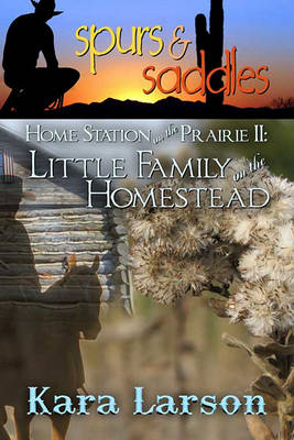 Book cover for Little Family on the Homestead