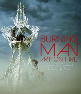 Book cover for Burning Man