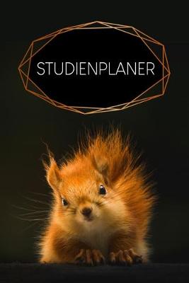 Book cover for Studienplaner