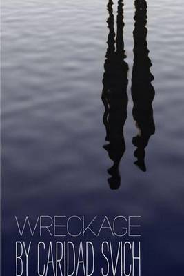 Book cover for Wreckage