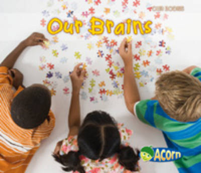 Cover of Our Brains