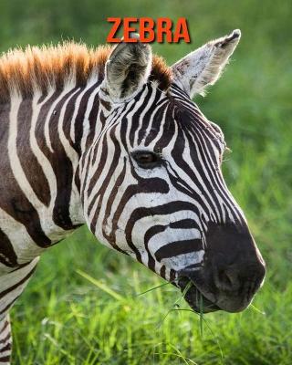 Book cover for Zebra