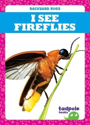 Book cover for I See Fireflies