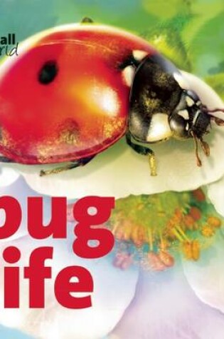 Cover of Bug Life