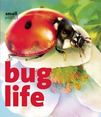 Cover of Bug Life